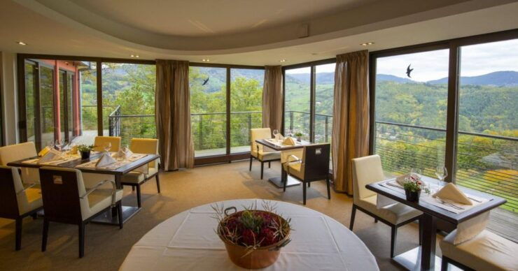 Experience the Magic of the Christmas Markets in Alsace in Just One Day - Experience Highlights