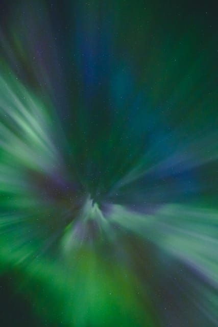 Experience the Magic of the Northern Lights in Lofoten! - The Value of This Tour