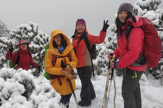 Experience the Magnificence of Annapurna on the Base Camp Trek:A Trekkers Dream - Trekking From Nayapul to Ghorepani