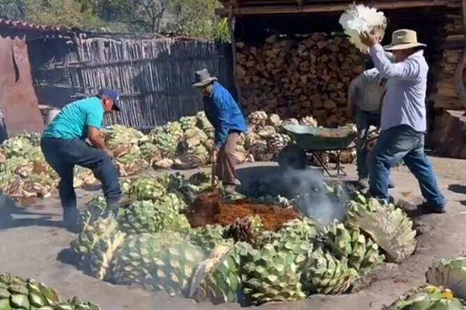 Experience the Mezcal Tour in Oaxaca - Who Would Benefit Most?