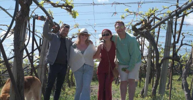 Experience the Minoan Grapes at a Local Vineyard - Activity Details