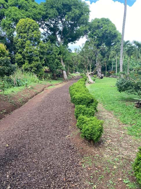 Experience the natural beauty and culture half day tour - What to Expect on the Tour