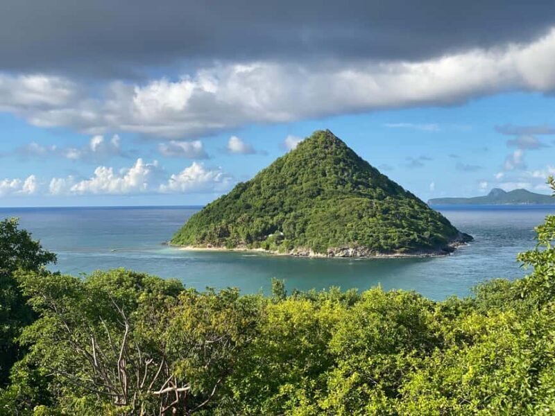 Experience the natural beauty and culture half day tour - Authentic Insights from Reviews