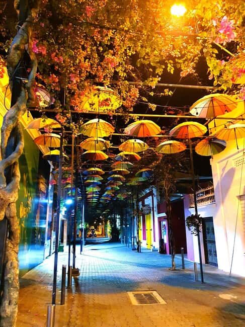 Experience the Nightlife: Puerto Plata + Sosua + Cabarete - An In-Depth Look at the Tour Experience