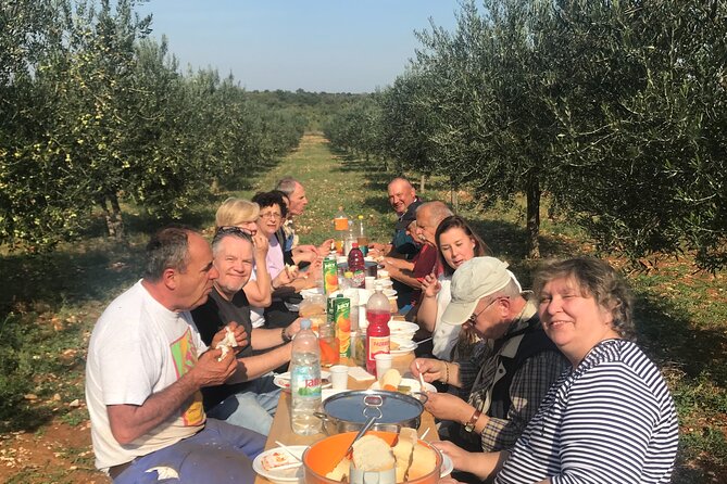 Experience the Organic Olive Oil World - Inclusions