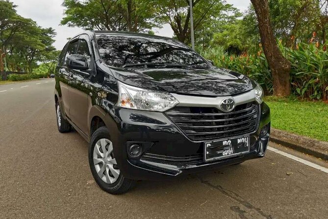 Experience The Real Bali, With Your Own Bali Private Car And Driver - Benefits of Booking a Private Car Charter