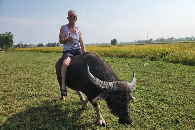 Experience The Real Countryside Hoi An & Hoi An City Walking Tour - Authentic Cultural Experiences