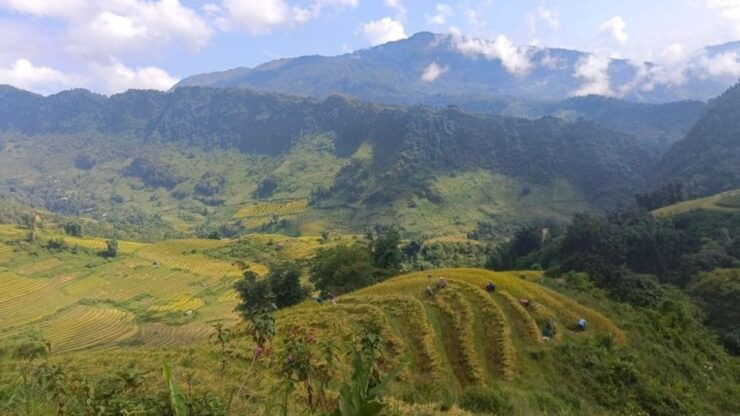 Experience The Real Sapa - Off The Beaten Track - Experience Highlights in Sapa