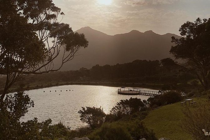 Experience the Southern East Corner - Cape Point in the Peninsula - Unveiling Cape Points Historical Significance