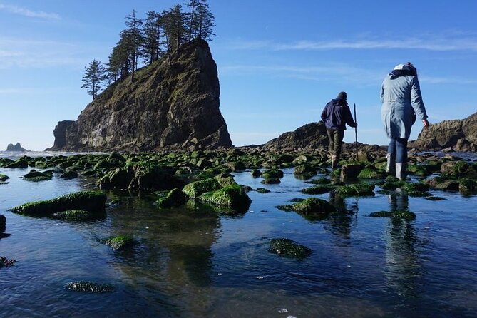 Experience the Spectacular Beauty of the Olympic Peninsula - Hidden Gems to Discover