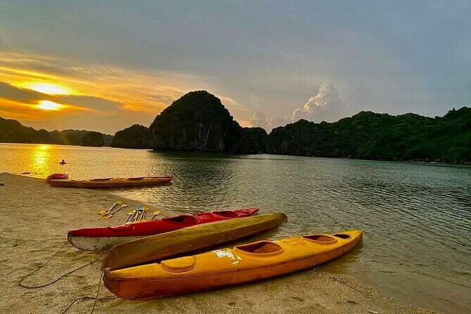 Experience the Sunset and Plankton Bioluminescent Night Kayak - Good To Know