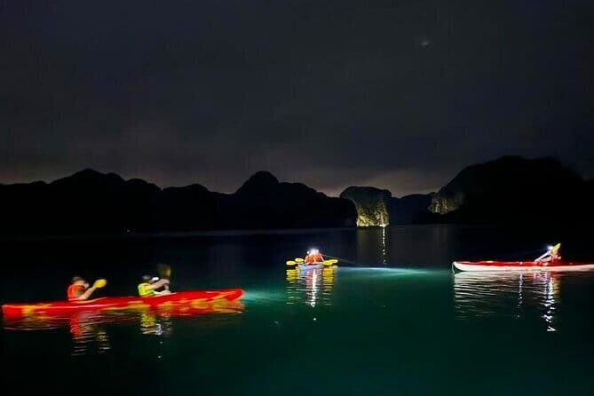 Experience the Sunset and Plankton Bioluminescent Night Kayak - The Practical Side: What You Need to Know