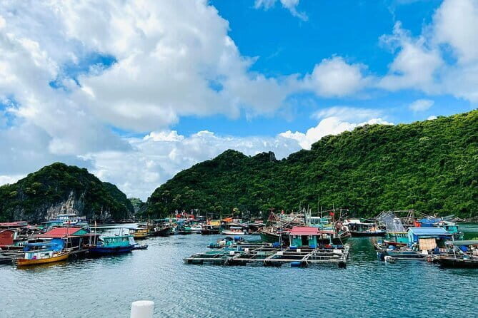 Experience the Sunset and Plankton Bioluminescent Night Kayak - The Sum Up