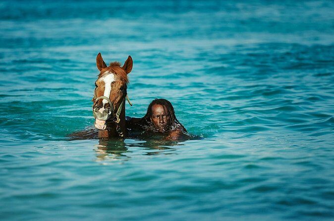 Experience the Swimming Horses at Carlisle Bay & the Garrison - Final Thoughts