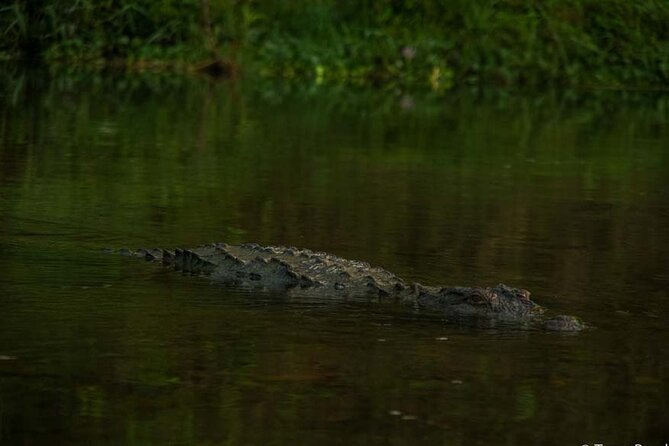 Experience the Thrill of the Wild: Chitwan Jungle Safari( 2N3D) - Duration and Itinerary