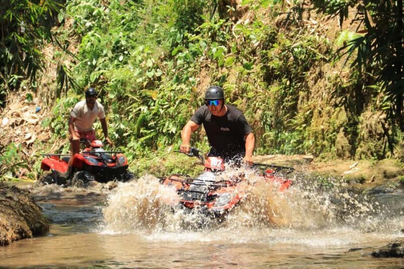 Experience the Ultimate Adventure with Bali Tarantula ATV - An In-Depth Look at the Bali Tarantula ATV Experience