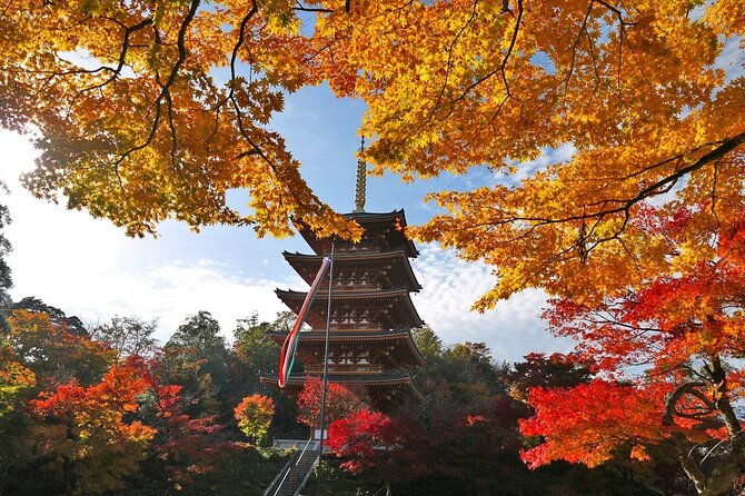 Experience the Unique "Oh, My Guide" Rent a Car in Kyoto - Inclusions and Accessibility