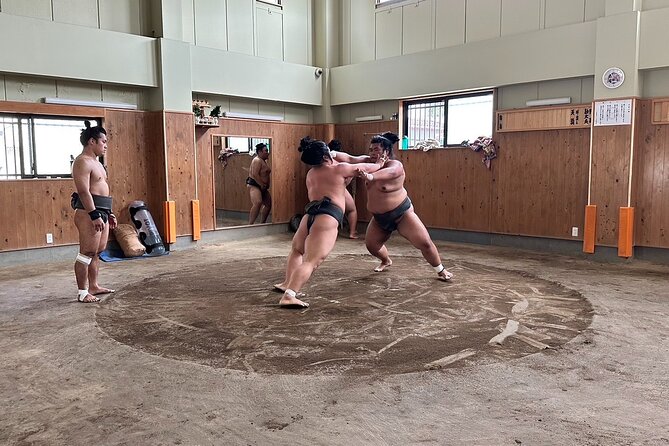 Experience the World of Sumo - Tour Experience
