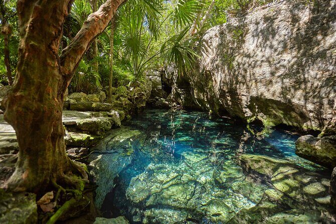 Experience this tour to Tulum, an artistic picture spot and cenotes adventure. - Good To Know