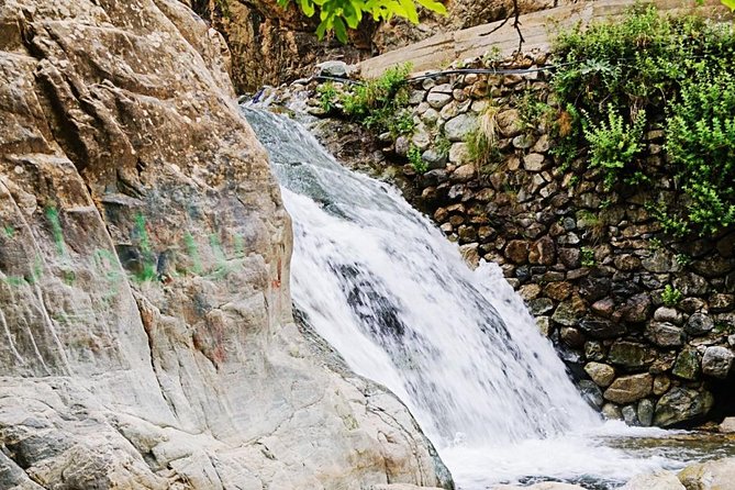 Experience Tour Atlas Mountains Ourika Valley - Transportation and Pick-up