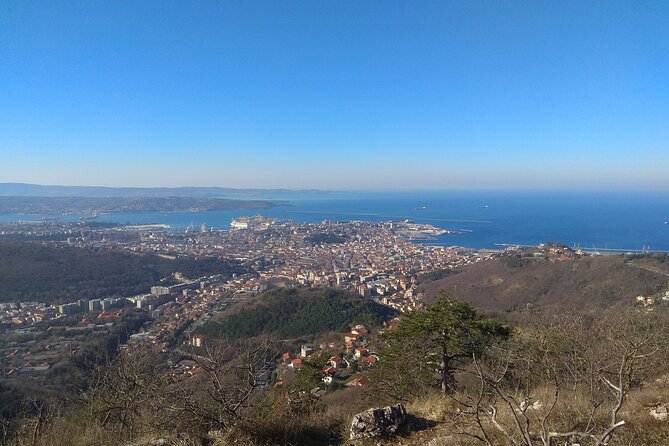 Experience Trieste - Traveler Photos