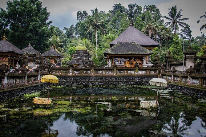 Experience Ubud Highlights Private Tour - A Deep Dive into the Ubud Highlights Private Tour