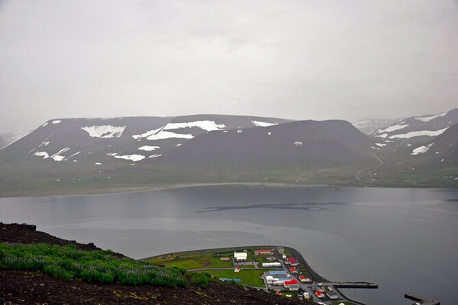 Experience Westfjords and Dynjandi Waterfall From Isafjordur Small Group Tour - Expert Local Guide