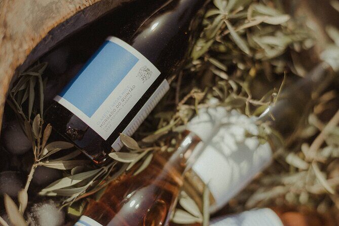 Experience Wine Break in Portugal - Good To Know