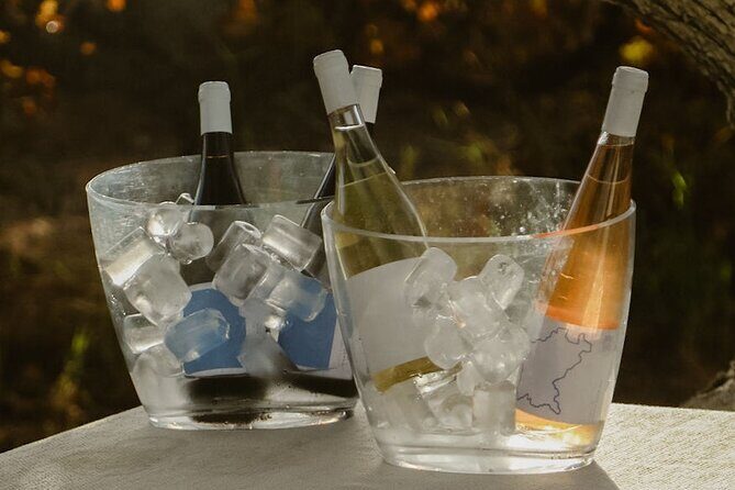 Experience Wine Break in Portugal - What You Can Expect from This Wine Tasting Experience