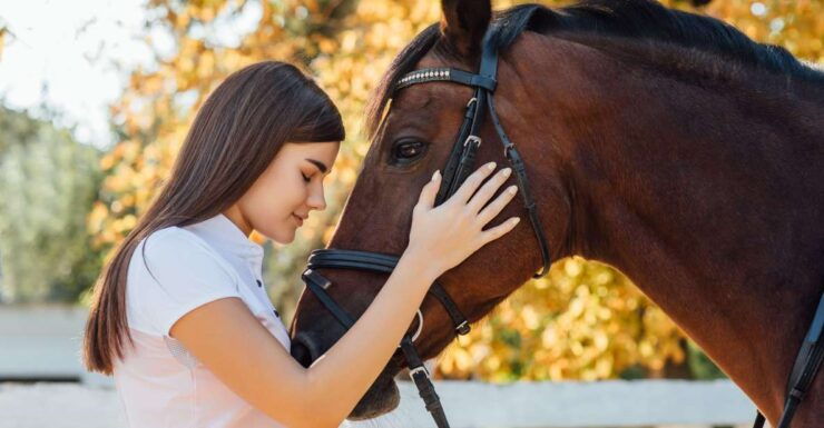 Experience With the Horses: Care, Learning and Dressage - Experience Details