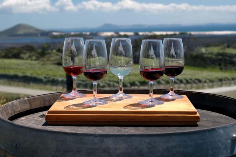 Experience Yarra Valley: A Tailored private Wine Journey - Who Is This Tour Best For?