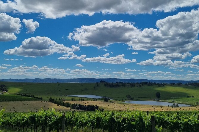 Experience Yarra Valley: a Tailored Private Wine Journey - Start Time and Duration