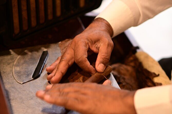 Experiencia de cata de puros con maridaje exclusivo - Good To Know