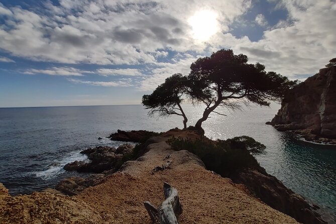 Experiencia De Kayak En La Costa Brava Con Snorkel Y Remo Desde Barcelona - Tour Guide Experience