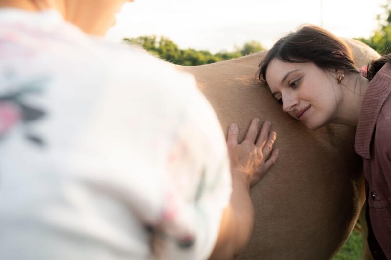 Experiential activity with horses: an experience in connection - The Value of Connection: More Than Just Riding