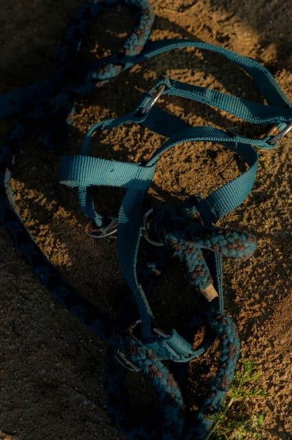 Experiential activity with horses: an experience in connection - Practical Details: Pricing, Duration, and Booking