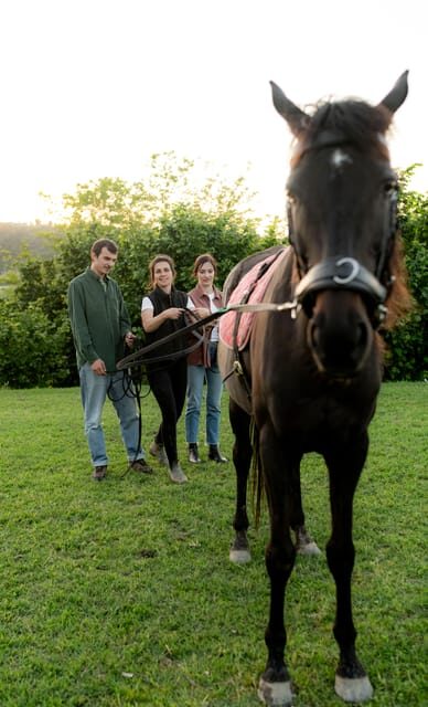 Experiential activity with horses: an experience in connection - The Sum Up