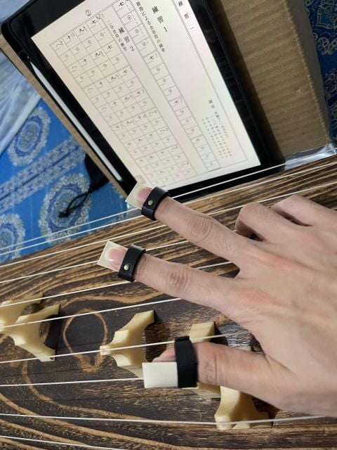 Experiential Lesson of the Japanese Instrument "Koto" - Lesson Details