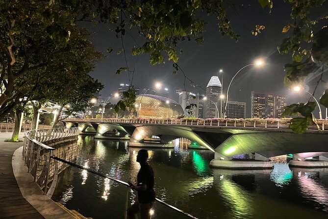 Experiential Night Walk Across the Heart of Singapore City - Overview of the Experience