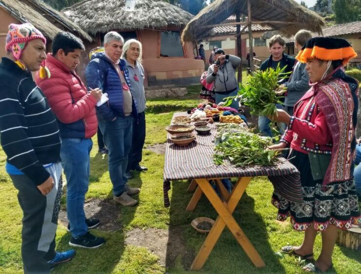 Experiential Tourism in the Amaru Community - Booking Details and Logistics