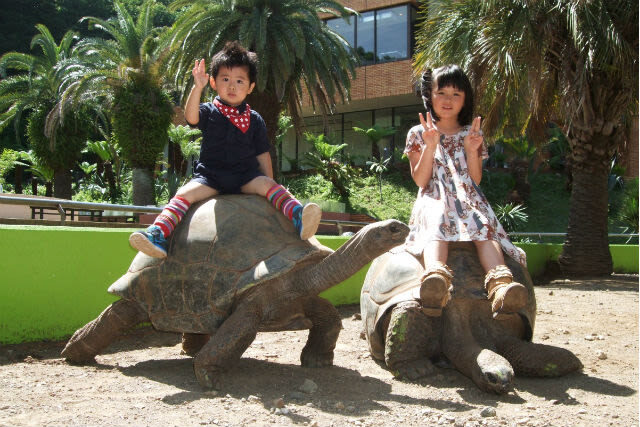 Experimental Zoo "iZoo" Admission Ticket in Shizuoka - Who will get the most from this visit