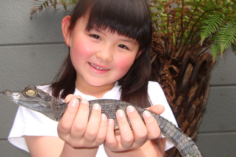 Experimental Zoo "iZoo" Admission Ticket in Shizuoka - Should you book iZoo and KawaZoo?