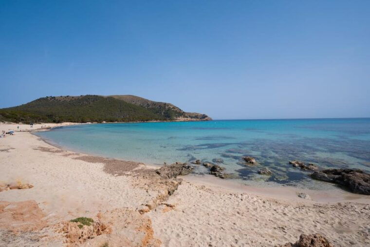 Experinence Cala Agulla / Molto With Paddlesurf and Snorkel - Highlights and Experience