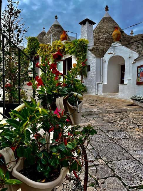 Expert Guided Visit & Tasting, Alberobello - Who Will Love This Tour?