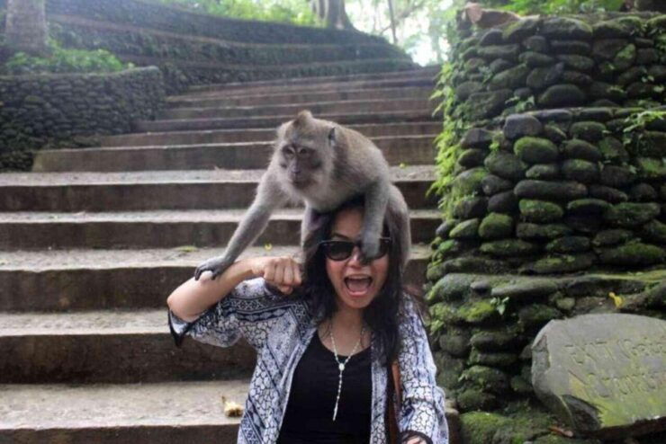 Exploration: Monkey Forest, Waterfall, and Rice Terrace - Good To Know