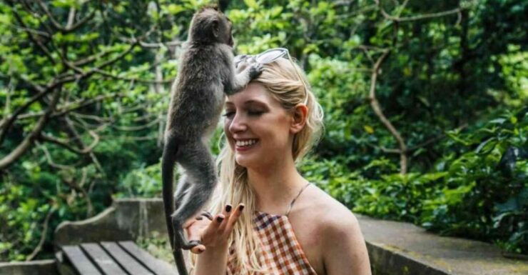 Exploration: Monkey Forest, Waterfall, and Rice Terrace - Monkey Forest in Ubud