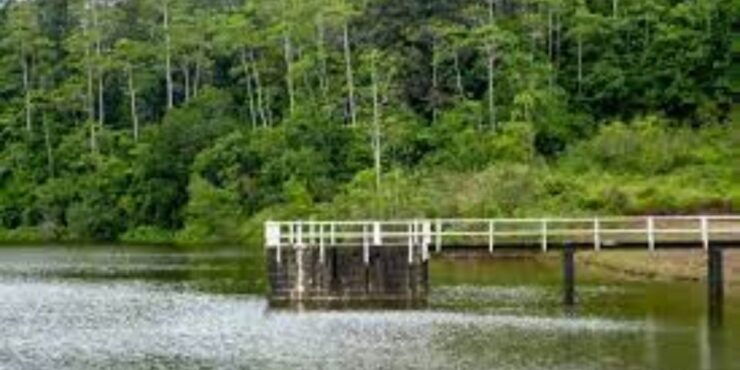 Exploration of Hiyare Forest Through a Nature-Guided Trek - Activity Duration and Logistics Information