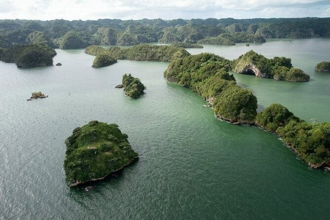 Exploration of Mangroves and Wildlife Los Haitises. - Good To Know