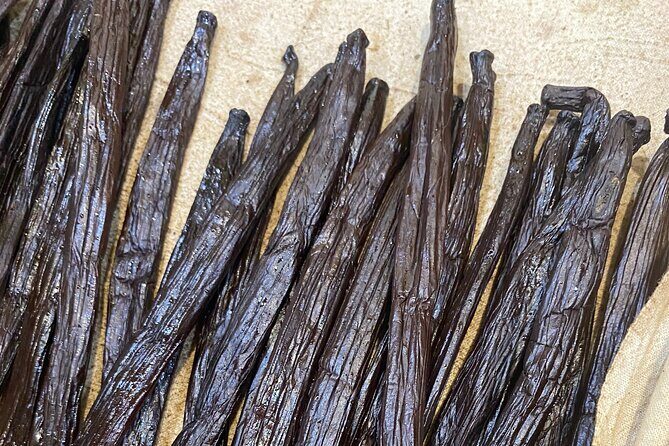 Exploration, Taha'a Lagoon Tour by Private Boat - What’s Included and What To Bring