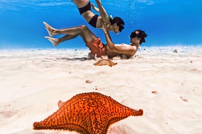 Exploration to El Cielo and Reefs: Live up close with stars - Whats Included and Whats Not?